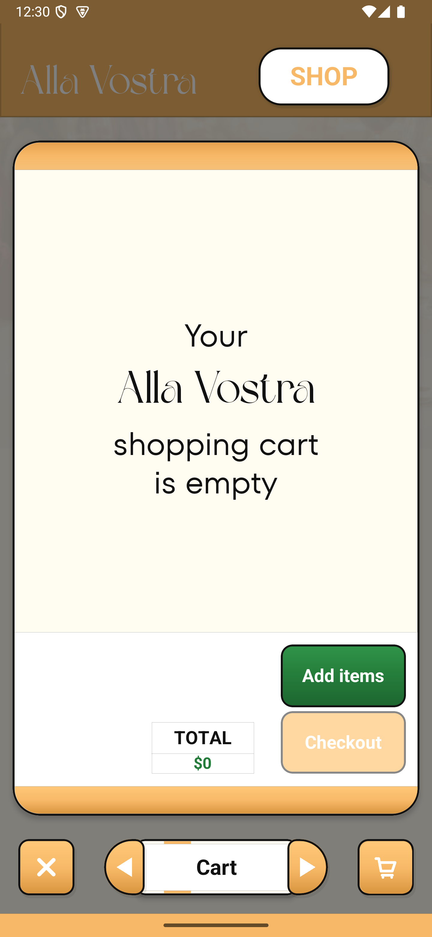 Empty Cart Large
