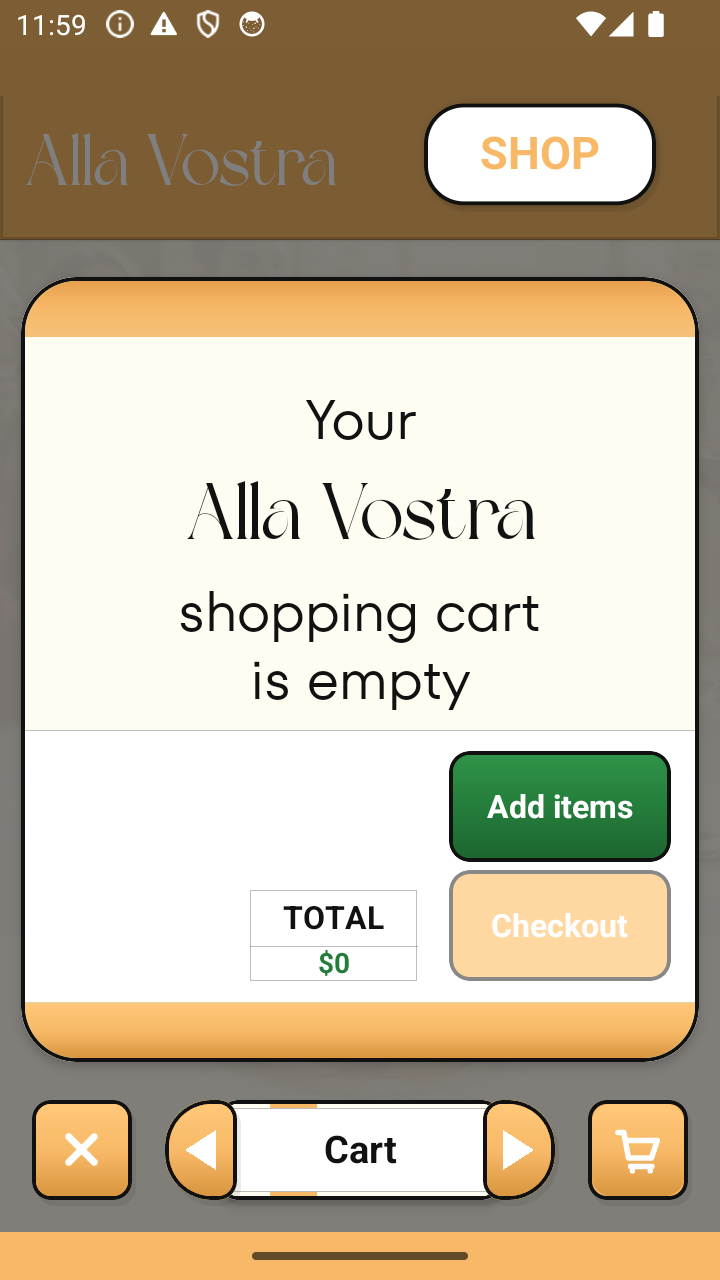 Empty Cart Small
