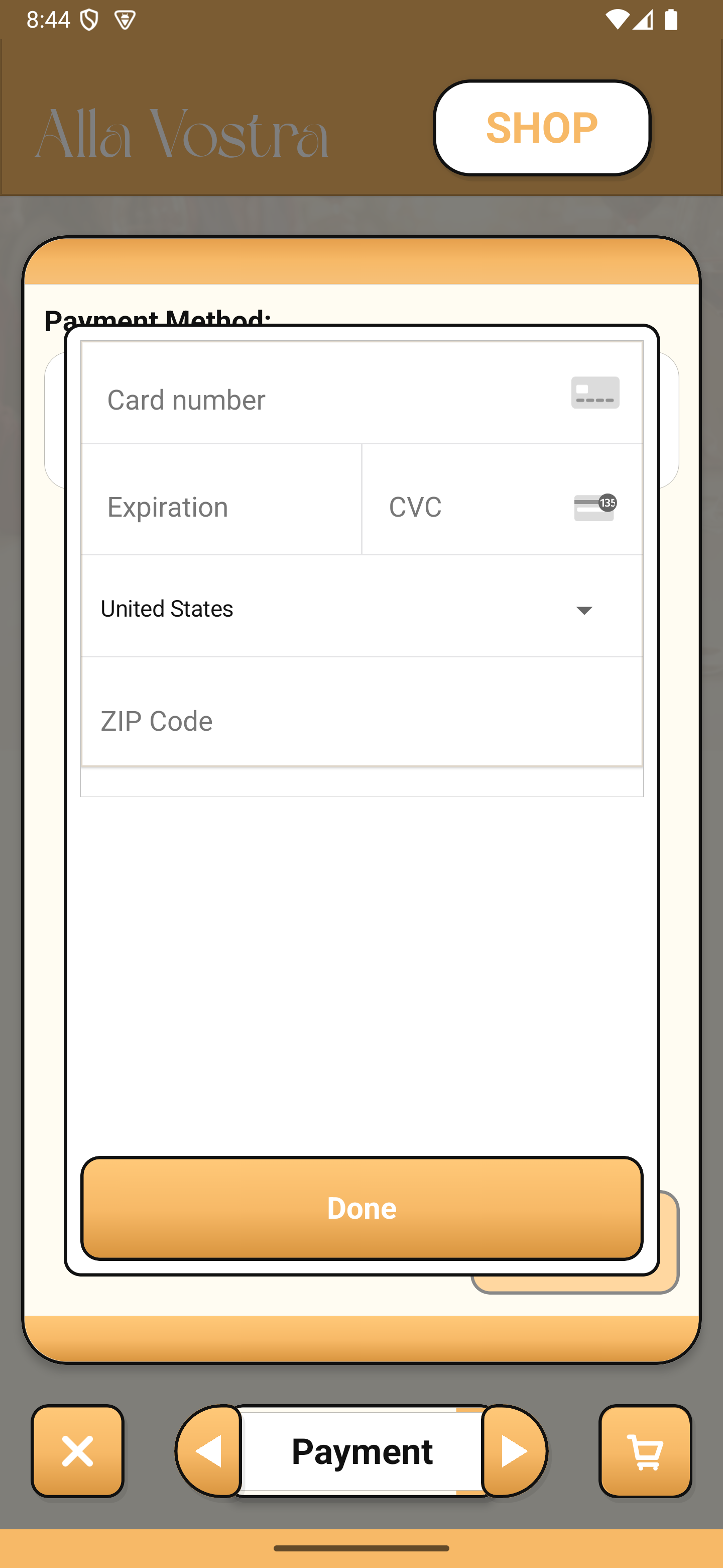 Payment Input Large