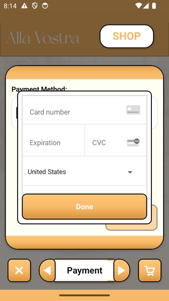 Payment Input Small